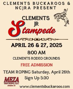 Jr. Rodeo small flyer image